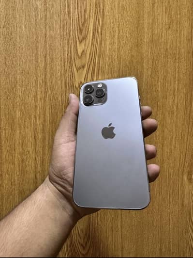 Ip 12 pm dual official approve