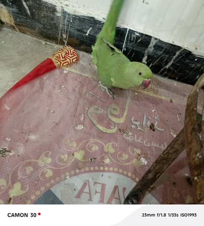 mitho ha bolta be ha