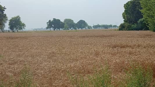 100 Acre Land For Sale Near Ryk