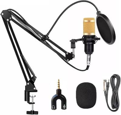 Bm800 Mic
