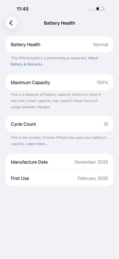 17 PM 256 GB 14cc 100BH Sim Working Both Esims