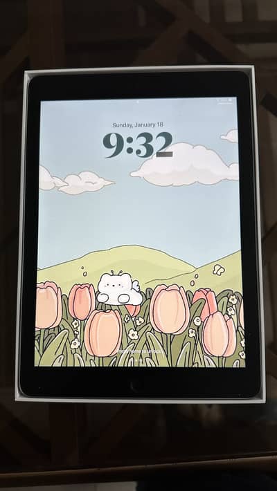 Apple iPad 6th Generation | 128 GB