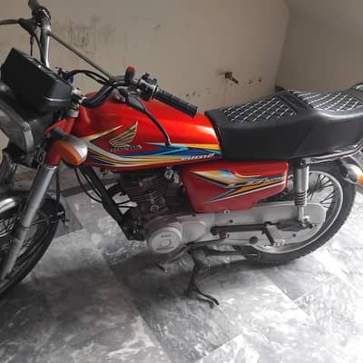 honda 125 19/20