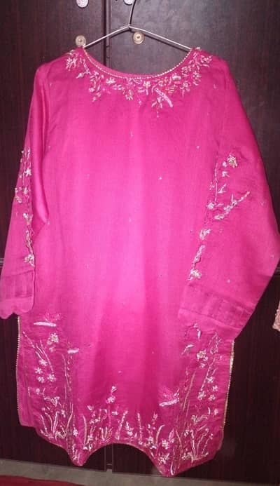 party wear decent dress never use