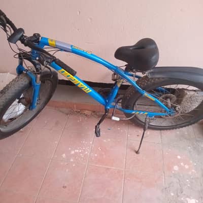 fat bike for sale
