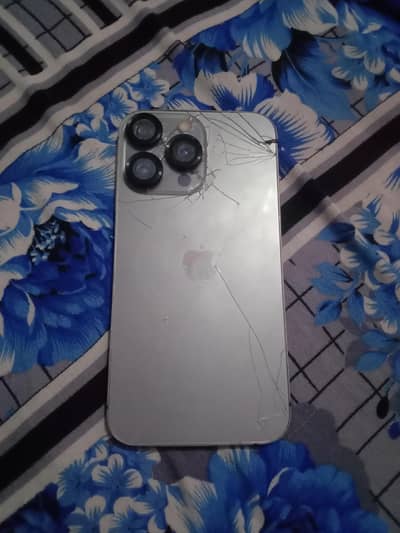 salleng and parchesing