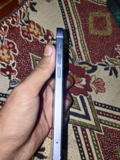 iphone 12 official pta approved