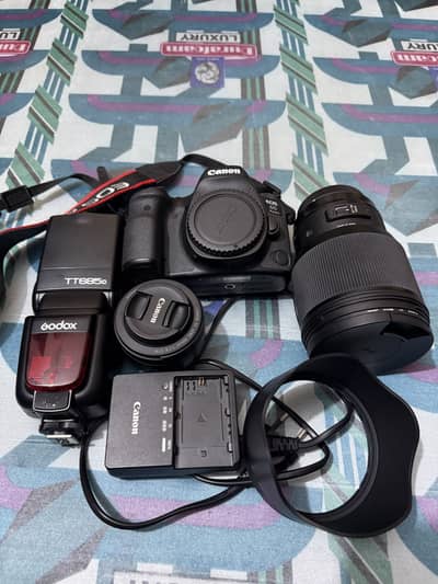 Canon EOS 6D Mark ii + Sigma 85 mm 10/10