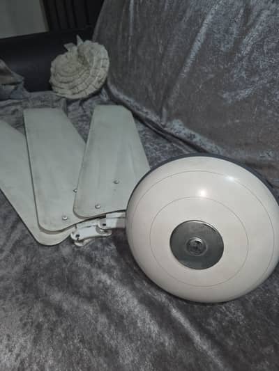 Pak Fan Ceiling Fan 75W – Silent & Powerful | Almost New