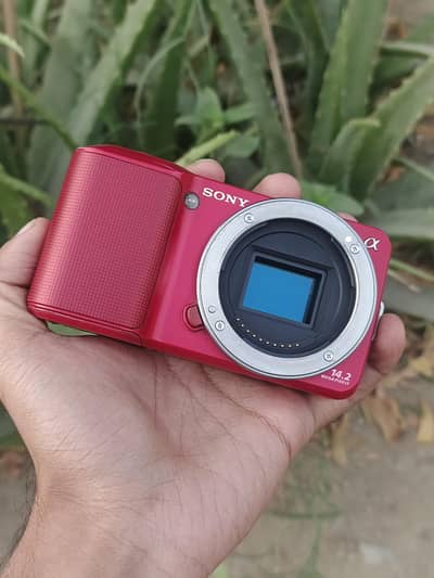 Sony Alpha Nex 3 with sony oss 18/55mm lense