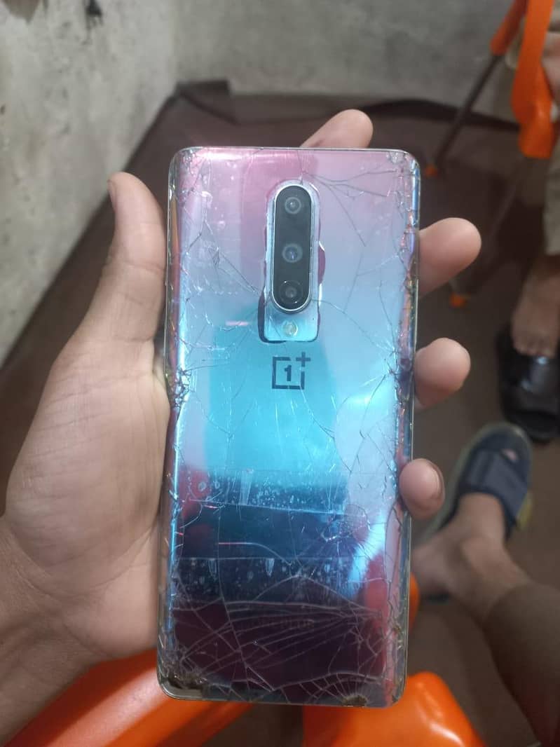 one plus 8 doted panel 1