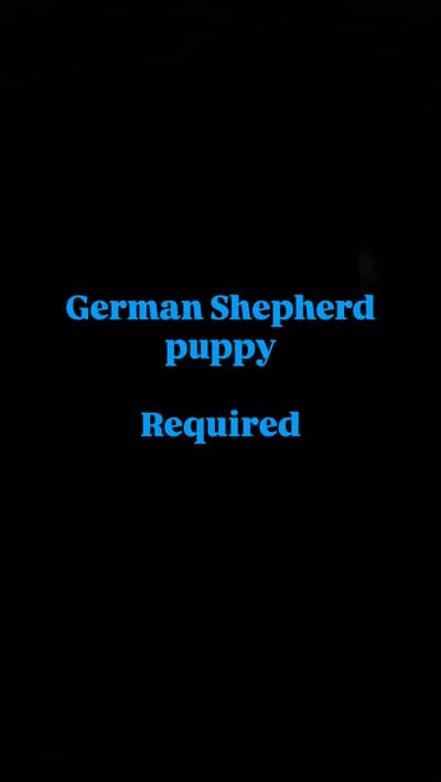 German Required