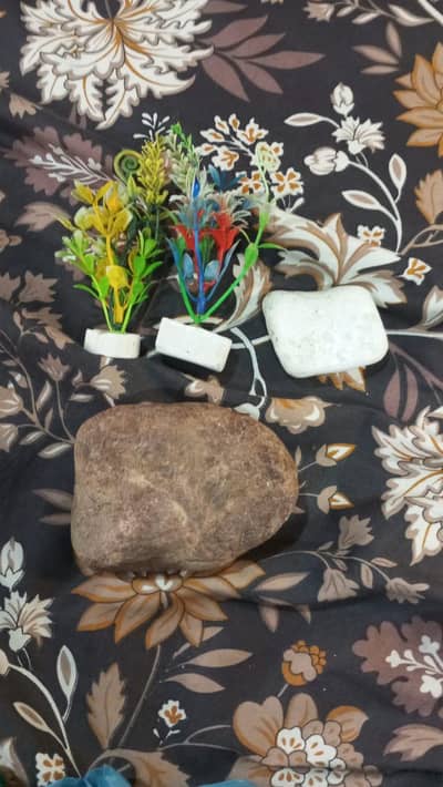 equarium with fishes urgent sale plz