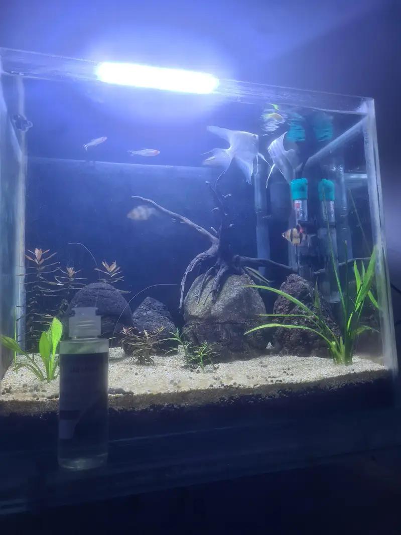 fish Aquarium — photo 2