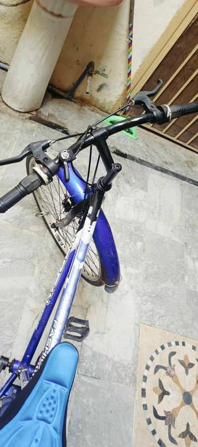 affordable Morgan cycle mid size