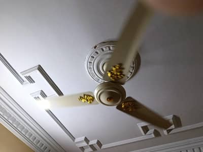 Roya origanl l Ceiling Fan for sale