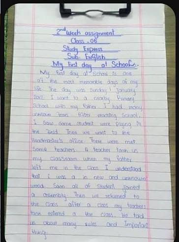assignment writing content writing 1
