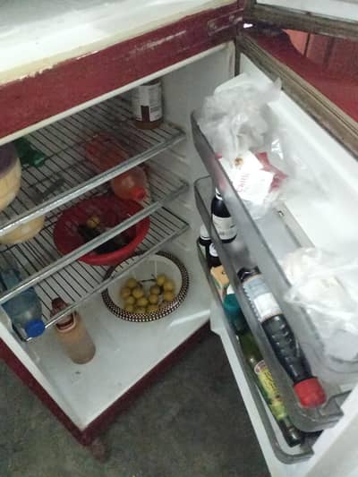 Dawlence fresh condition medium