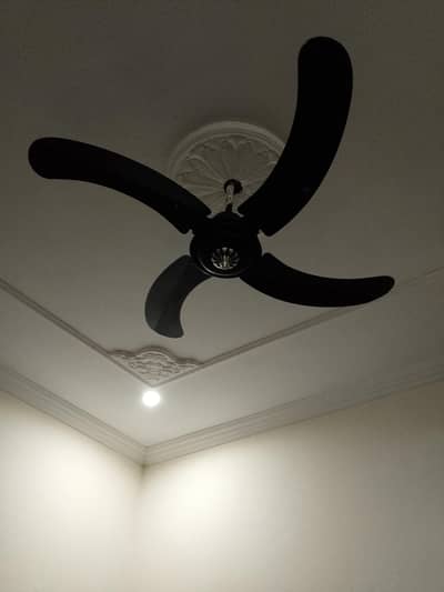 electric fan