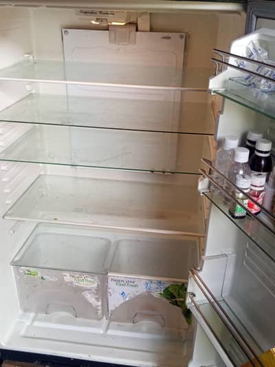fridge