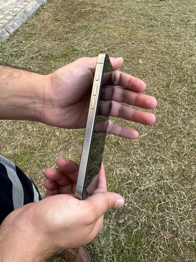 15 pro max official pta