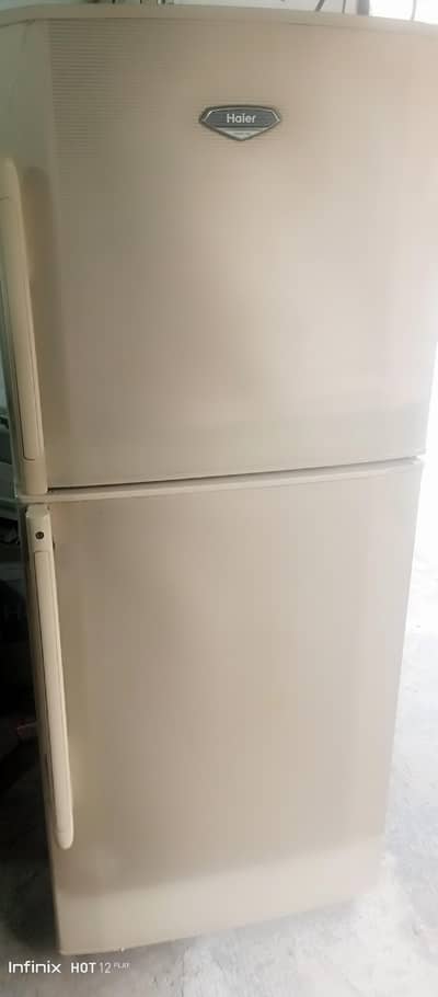 Hair refrigerator    03226035630