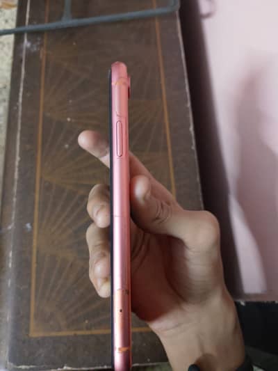 Iphone Xr at best price