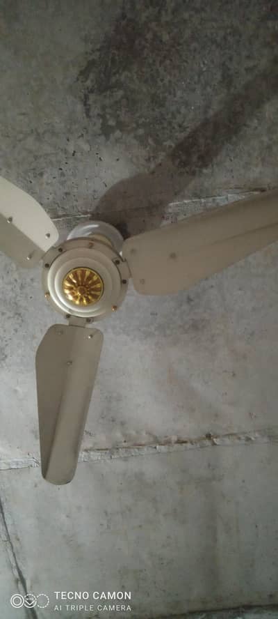 Celling Fans