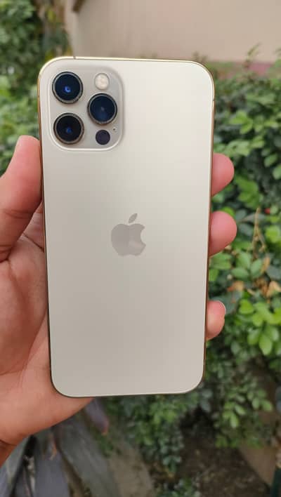 I PHONE 12 Pro PTA Approved 256GB