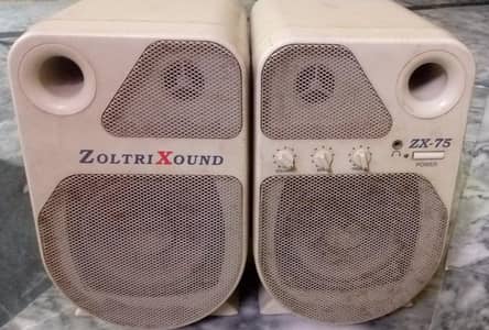 Zoltri Xound 4' Subwoofer Speakers