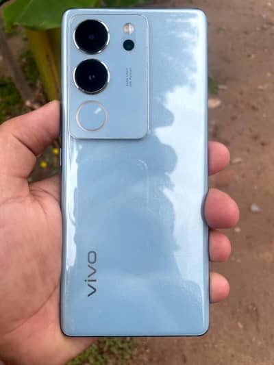 vivo v 29 5g  12 plus 8 GB 256