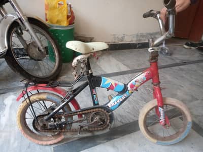 Kids Bicycle for Sale
