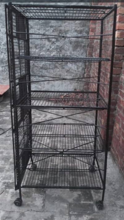Birds Cage