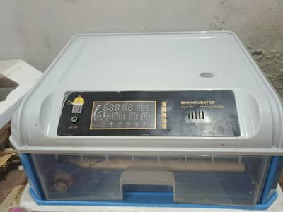 incubator for sale. 03127892463