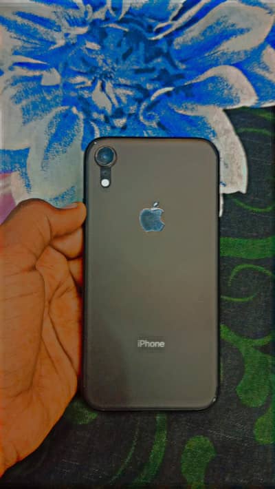 Exchange possible Whatsapp num: 0346-31390-21