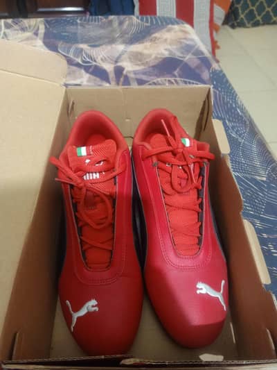 Puma Ferrari l Edition Red Shoes l Original imported from Singapore