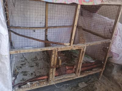 Cage for sell