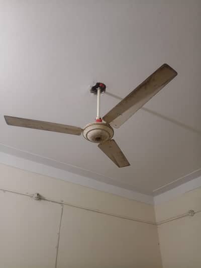 پنکھے برائے فروخت