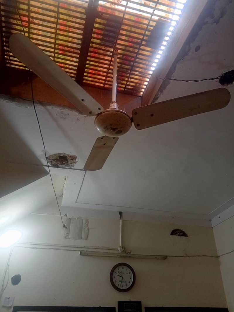 پنکھے برائے فروخت 1