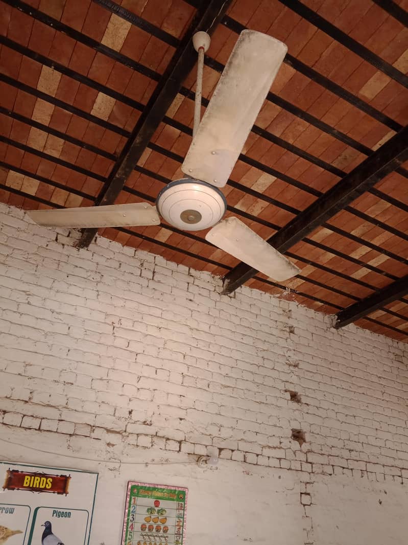 پنکھے برائے فروخت 5