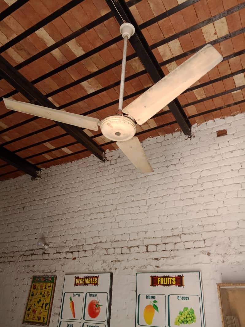 پنکھے برائے فروخت 7