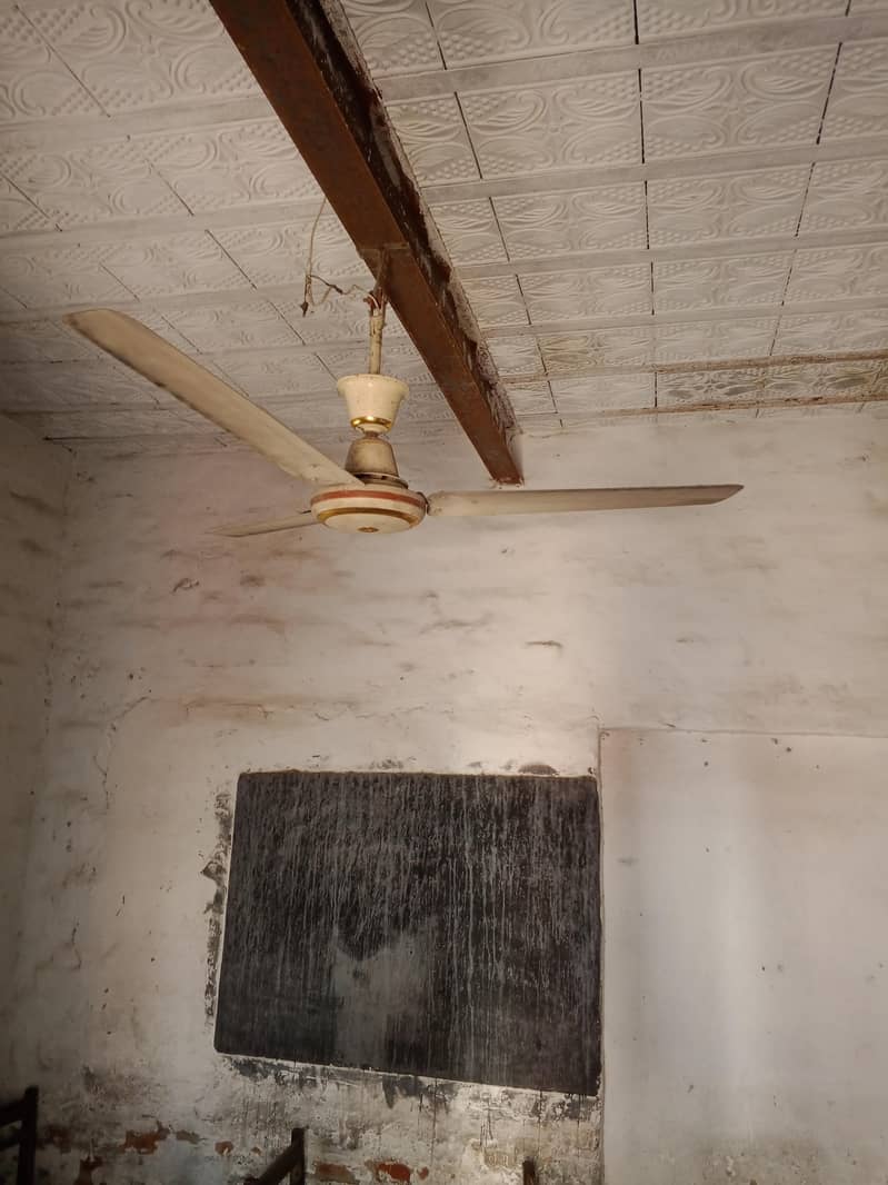 پنکھے برائے فروخت 11