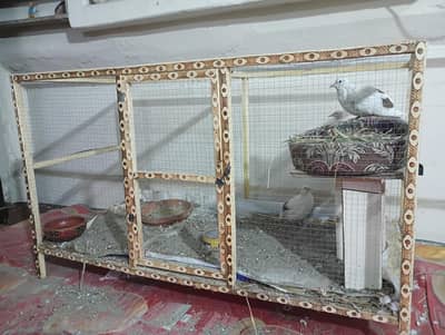 Big Birds Colony Cage