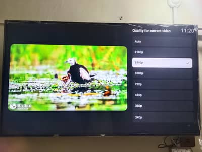 Android LED tn Sony 55