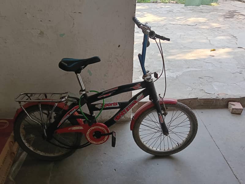 bicycle 2