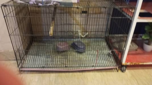 Bird cage for sale