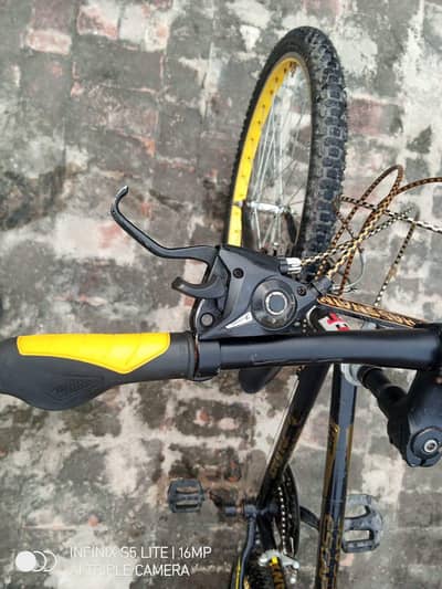 Giant 10 speed bicycle