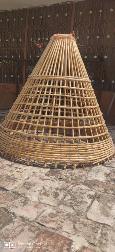 Murgha Tokra Available For Sale