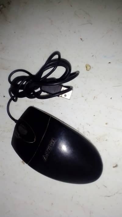 computer mouse