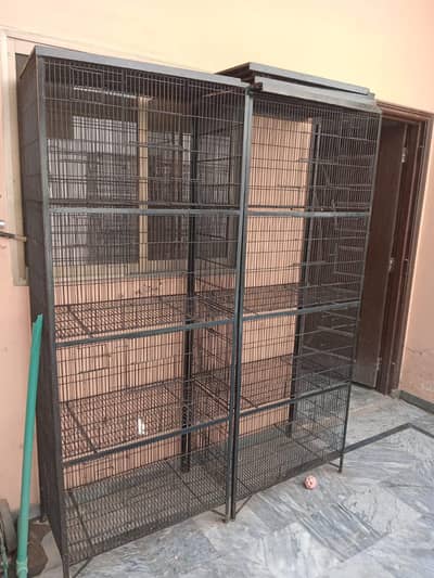 cage for birds